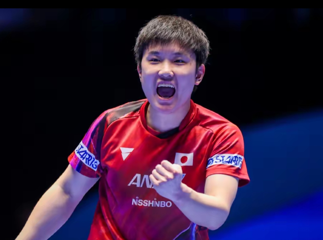 球迷的目光 球迷的目光