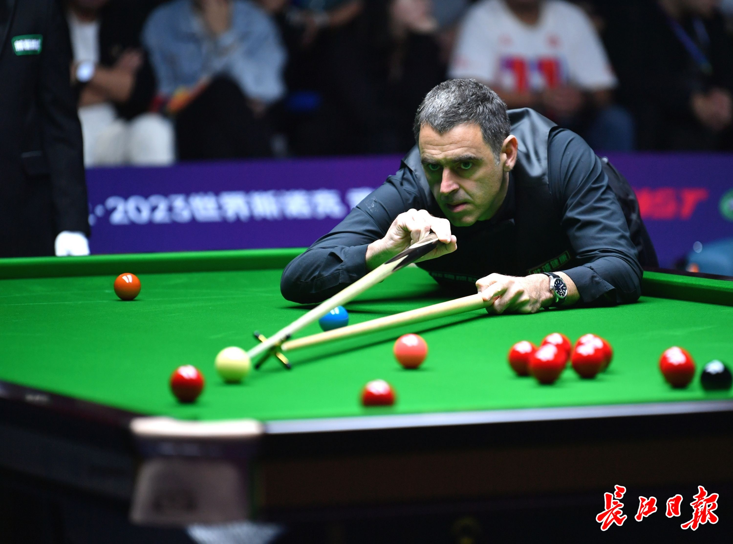 动他也参加 动他也参加